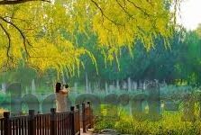 beeg麻豆av-氛围与艺术的碰撞——探究beeg麻豆av背后的沉思