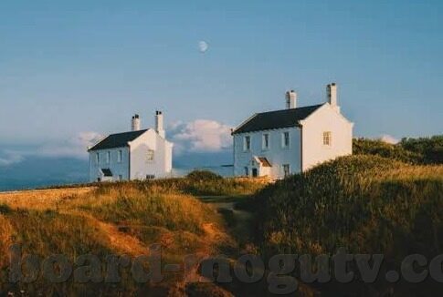 麻豆视频下载app-麻豆视频下载app-洞悉数字时代的娱乐新风向