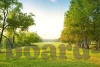 糖心app是啥-糖心app，探索现代社交与生活的多彩交织