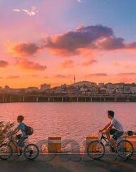糖心vlog在线观看视频_糖心vlog-糖心vlog，寻找心灵的温暖之地